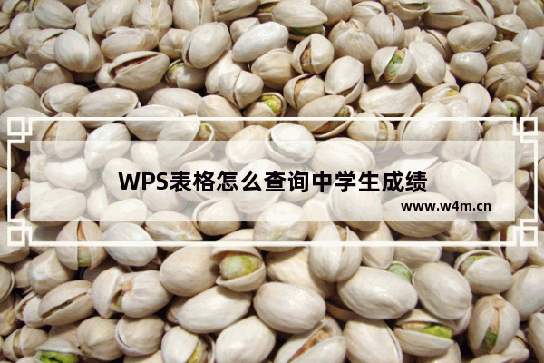 WPS表格怎么查询中学生成绩