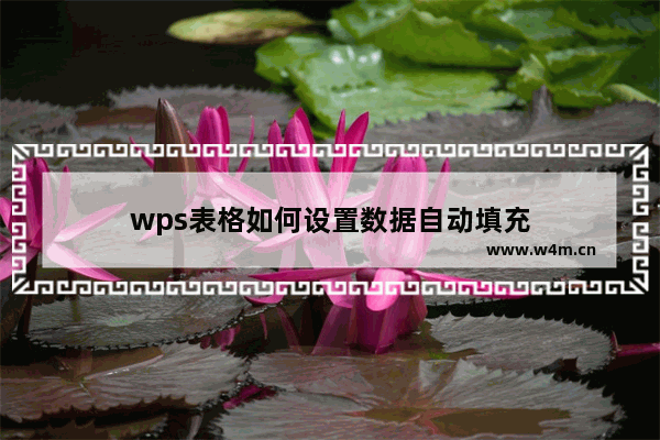 wps表格如何设置数据自动填充