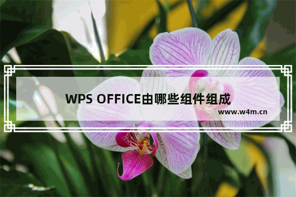 WPS OFFICE由哪些组件组成