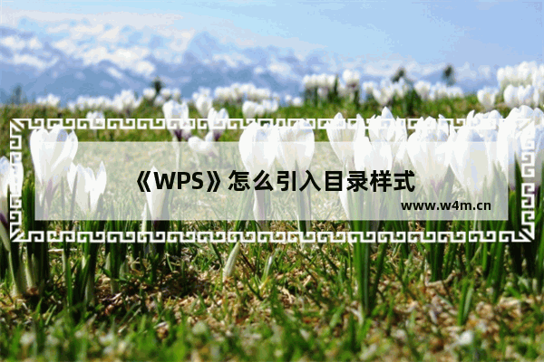 《WPS》怎么引入目录样式