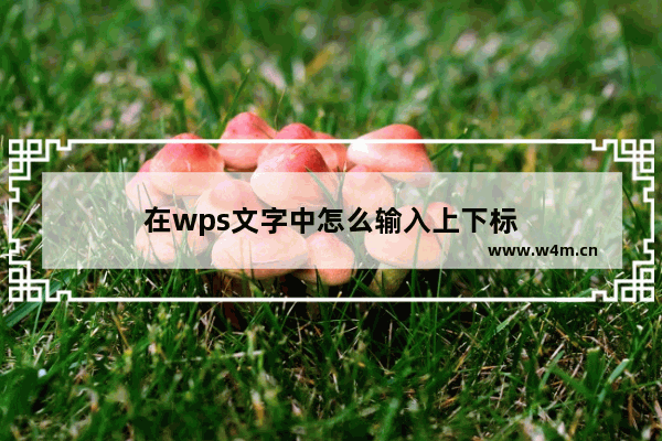 在wps文字中怎么输入上下标