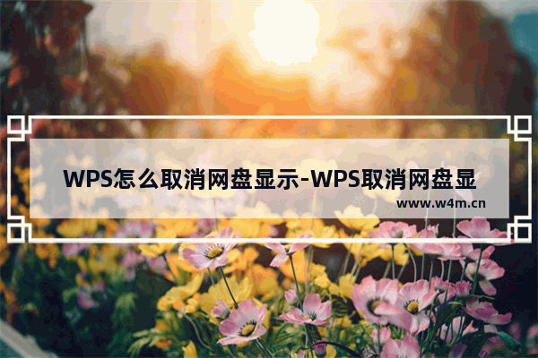 WPS怎么取消网盘显示-WPS取消网盘显示的方法