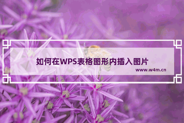 如何在WPS表格图形内插入图片