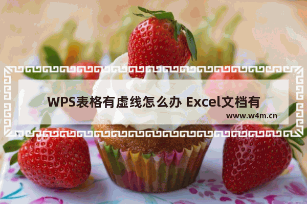 WPS表格有虚线怎么办 Excel文档有虚线的解决方法