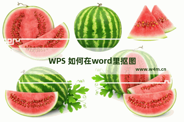 WPS 如何在word里抠图