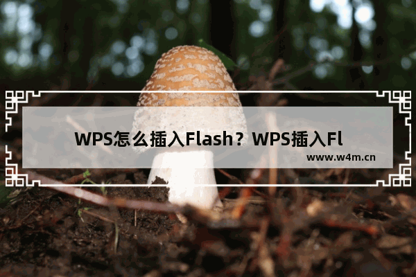 WPS怎么插入Flash？WPS插入Flash教程