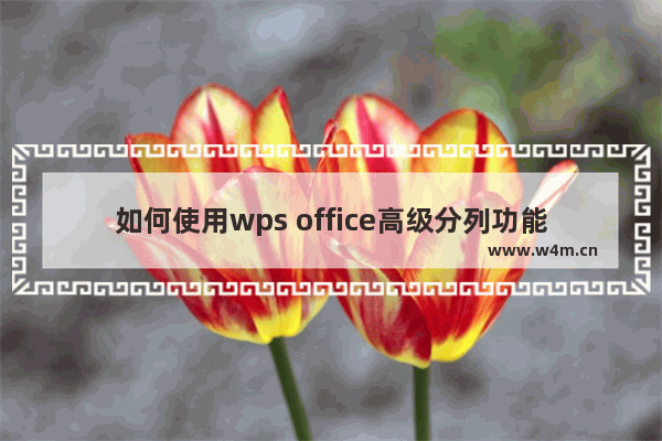 如何使用wps office高级分列功能？