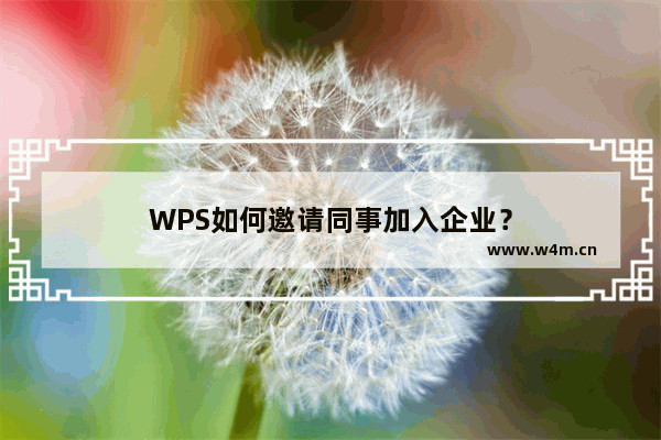 WPS如何邀请同事加入企业？