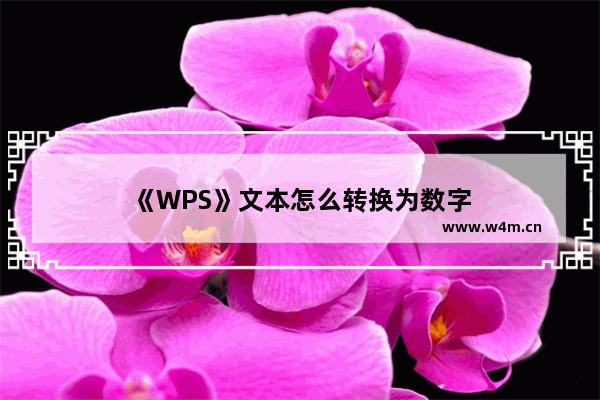 《WPS》文本怎么转换为数字