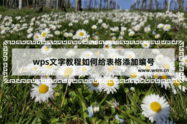 wps文字教程如何给表格添加编号