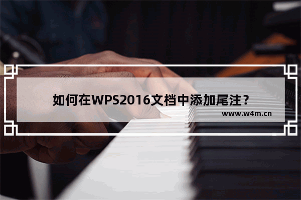 如何在WPS2016文档中添加尾注？