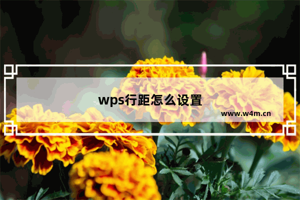 wps行距怎么设置