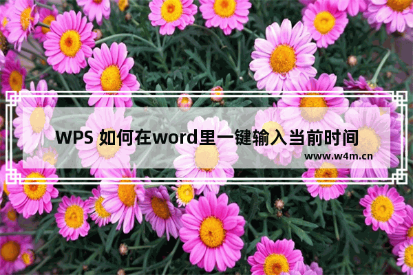 WPS 如何在word里一键输入当前时间和日期