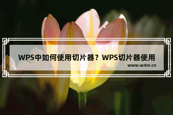 WPS中如何使用切片器？WPS切片器使用方法