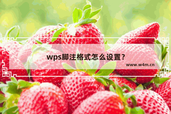 wps脚注格式怎么设置？