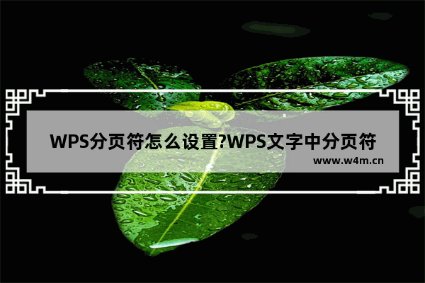 WPS分页符怎么设置?WPS文字中分页符强大的功效