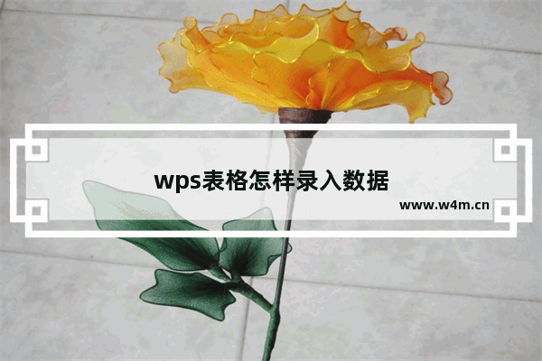 wps表格怎样录入数据