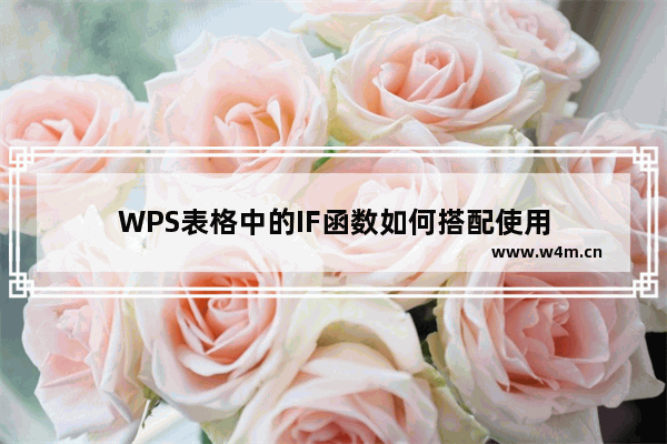 WPS表格中的IF函数如何搭配使用