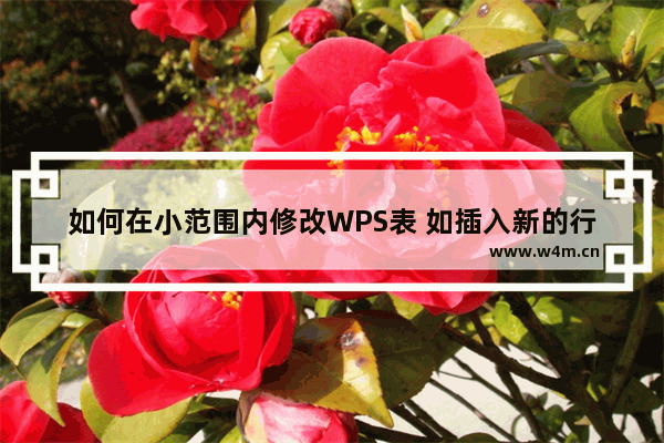 如何在小范围内修改WPS表 如插入新的行或列