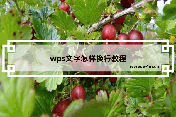 wps文字怎样换行教程