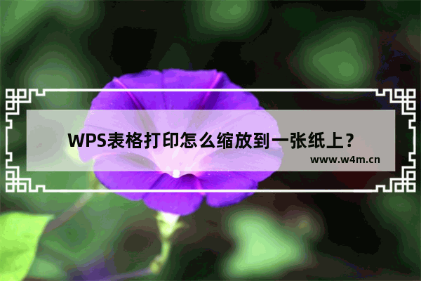 WPS表格打印怎么缩放到一张纸上？