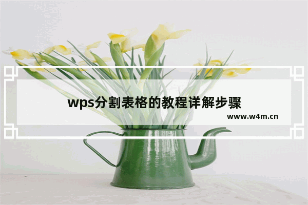 wps分割表格的教程详解步骤