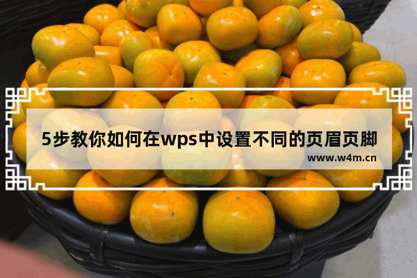 5步教你如何在wps中设置不同的页眉页脚