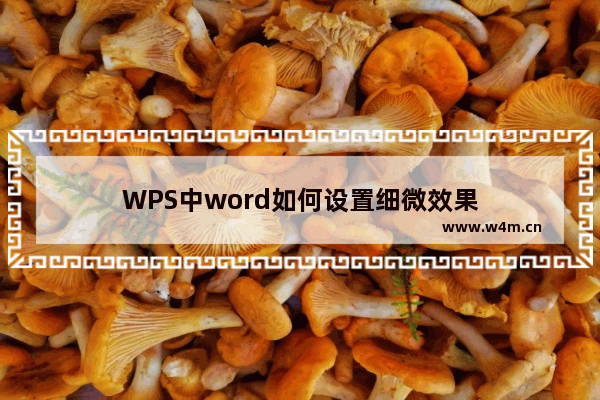 WPS中word如何设置细微效果