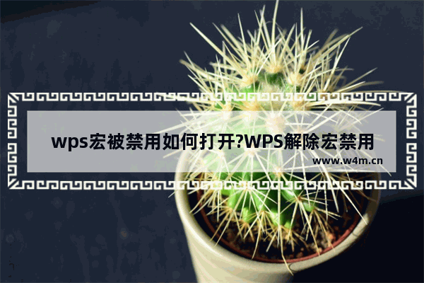 wps宏被禁用如何打开?WPS解除宏禁用的方法教程