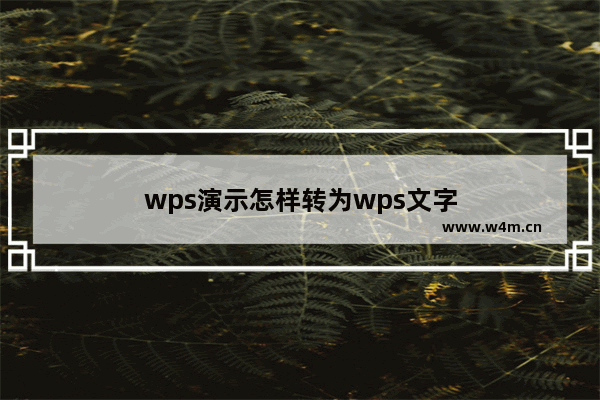 wps演示怎样转为wps文字