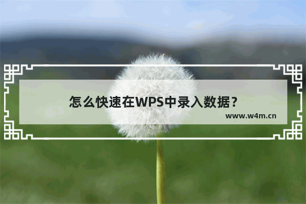 怎么快速在WPS中录入数据？