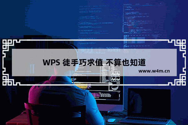 WPS 徒手巧求值 不算也知道