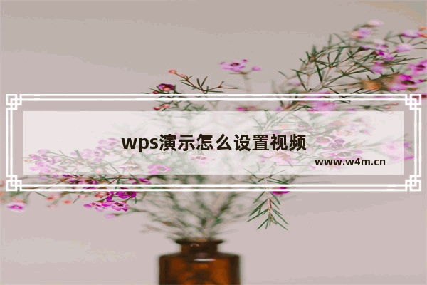 wps演示怎么设置视频