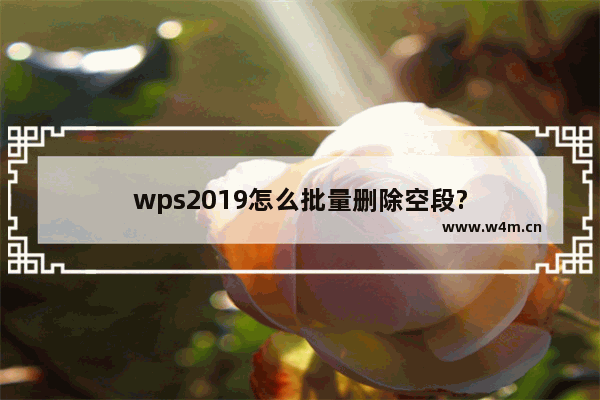 wps2019怎么批量删除空段?