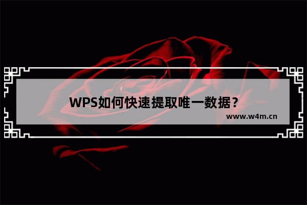 WPS如何快速提取唯一数据？