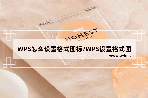 WPS怎么设置格式图标?WPS设置格式图标教程