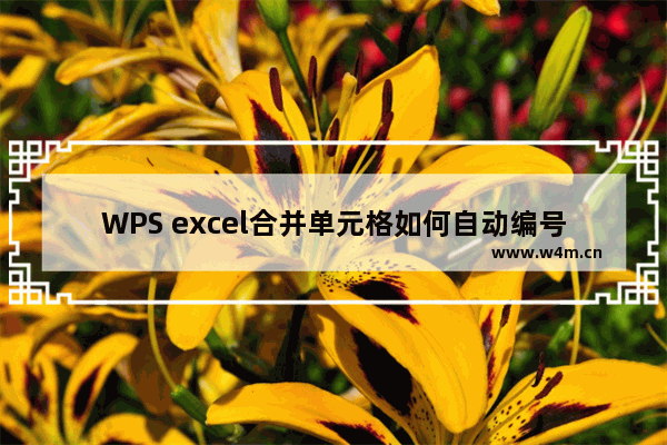 WPS excel合并单元格如何自动编号，你知道吗？