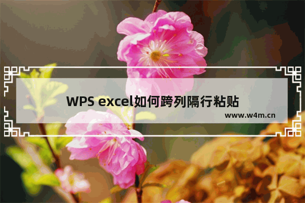 WPS excel如何跨列隔行粘贴