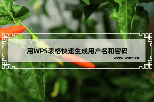 用WPS表格快速生成用户名和密码