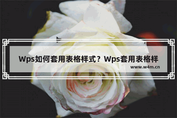 Wps如何套用表格样式？Wps套用表格样式的方法