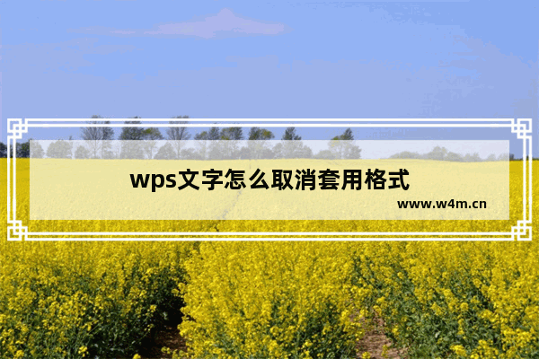 wps文字怎么取消套用格式