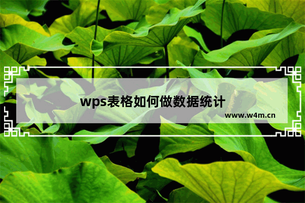 wps表格如何做数据统计