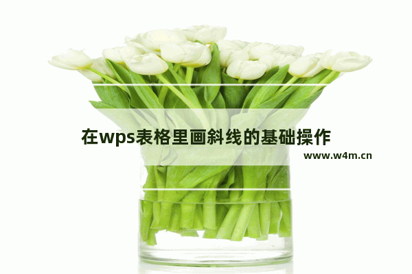 在wps表格里画斜线的基础操作