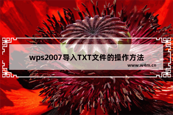 wps2007导入TXT文件的操作方法