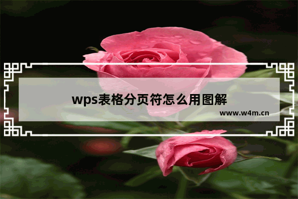 wps表格分页符怎么用图解