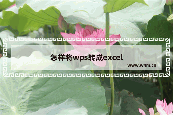 怎样将wps转成excel