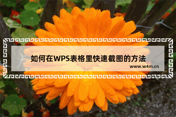 如何在WPS表格里快速截图的方法