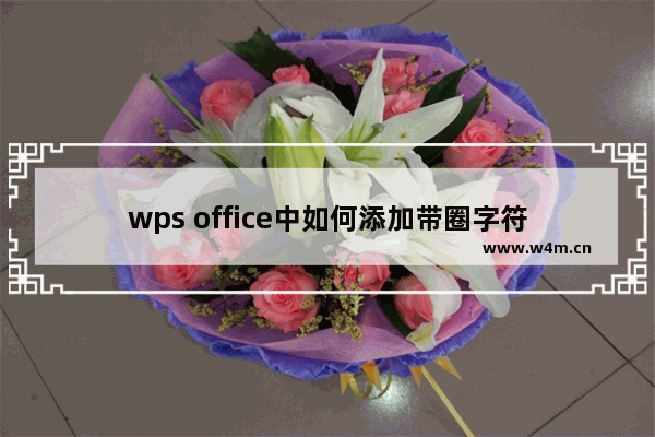 wps office中如何添加带圈字符