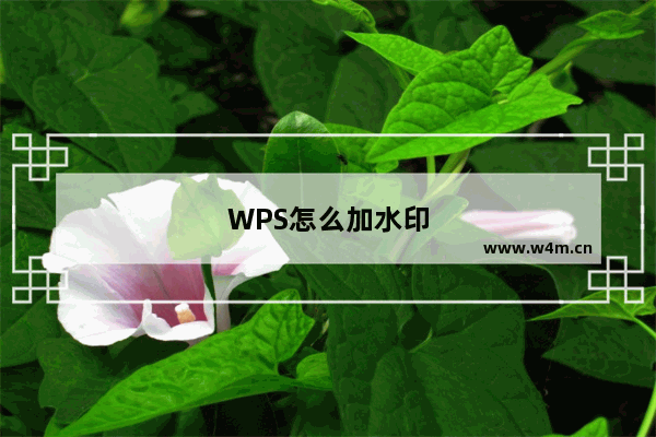 WPS怎么加水印