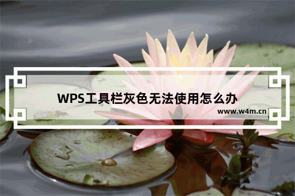 WPS工具栏灰色无法使用怎么办